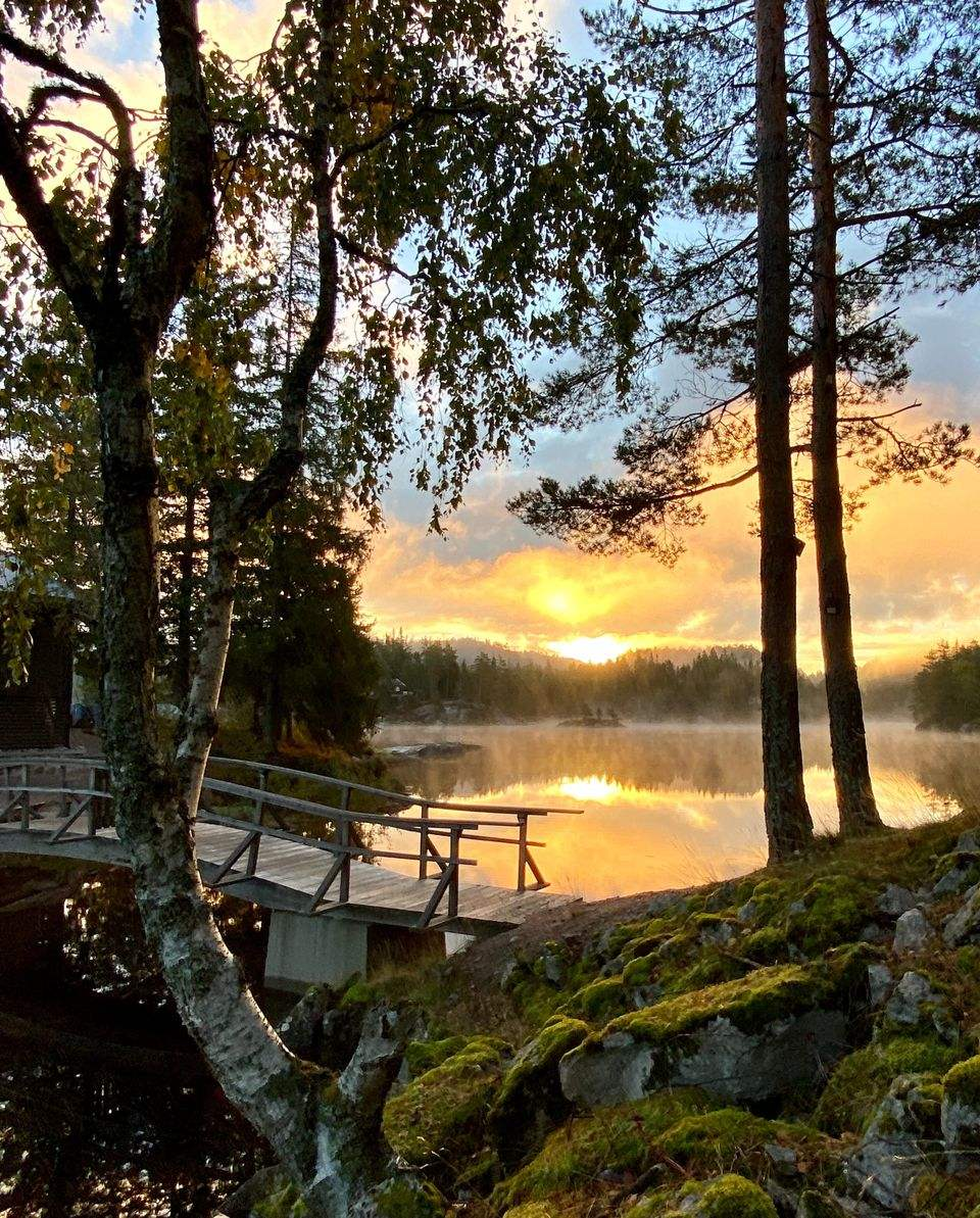 Statsforvalteren i Agder-hero-background