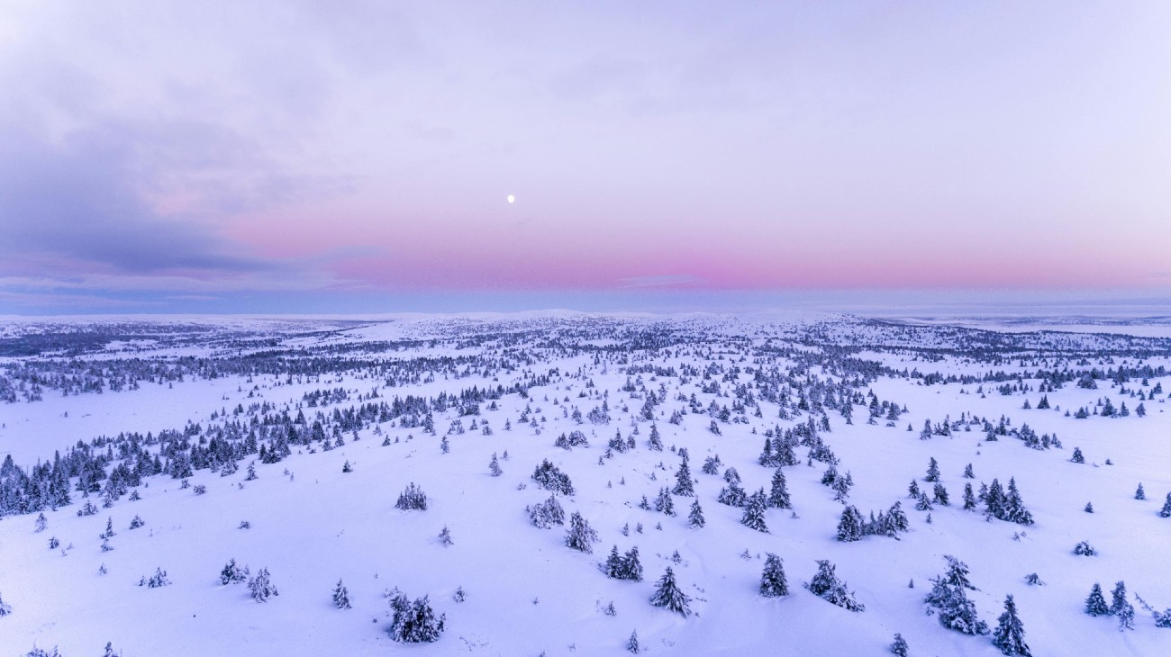 FSC Norge-hero-background