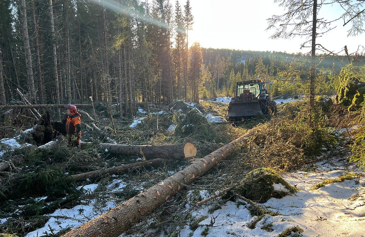 Overhalla kommune-hero-background